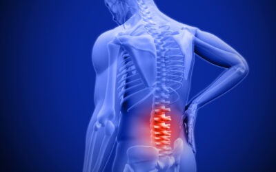 Physical Therapy Strategies for Alleviating Low Back Pain